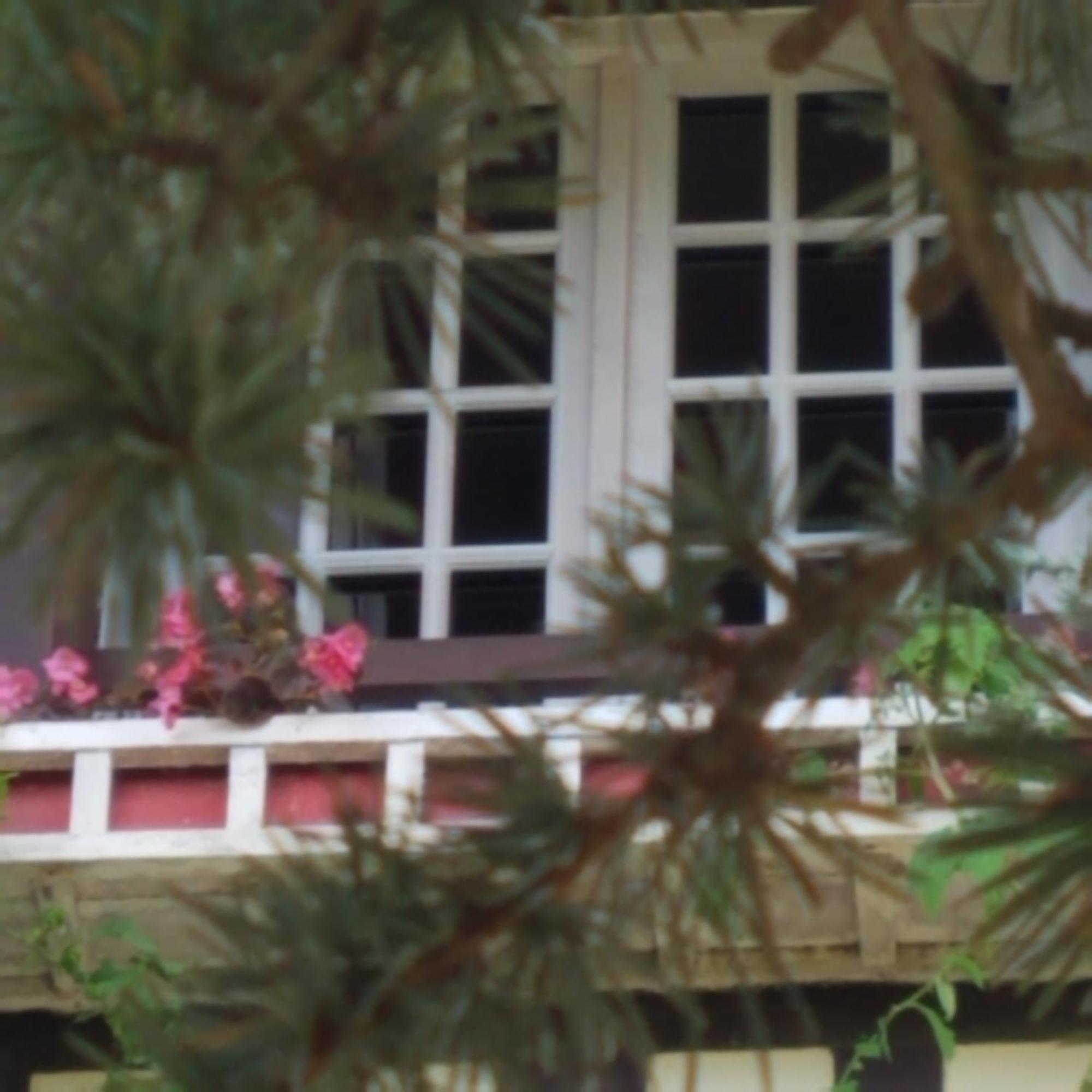 Ferienwohnung Le Vieux Pre De La Motte Villers-sur-Mer Exterior foto